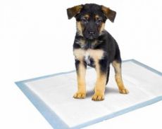 Jätöstuotteet ja Pissa-alustat