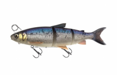 SG 3D Line Thru Whitefish