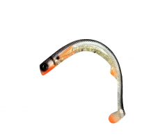 Polarbite Fishing Alfa Shad 40cm 185g