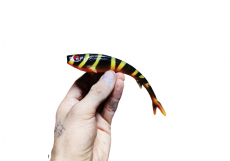 Polarbite Fishing Vertical18 18cm 25g