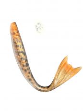 Captain Ollie Vertical 29cm 85g