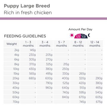 Eukanuba Dog Puppy Large 15kg 