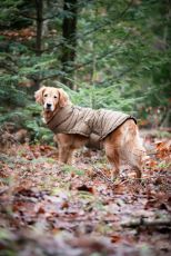 CATAGO FIR-Tech Puffer Koiran Toppatakki 55cm Kangaroo