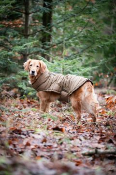 CATAGO FIR-Tech Puffer Koiran Toppatakki 55cm Kangaroo