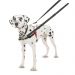 Halti Front Control dog harness M