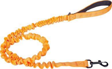 Companion joustava talutushihna 2,5cm x 120cm