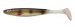 Berkley Sick Haukikumi Mysteeri box 8kpl