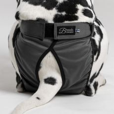 FINNERO BRENDA Narttusuoja koiralle - Harmaa XS