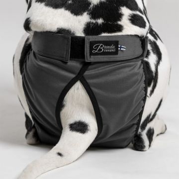 FINNERO BRENDA Narttusuoja koiralle - Harmaa XS