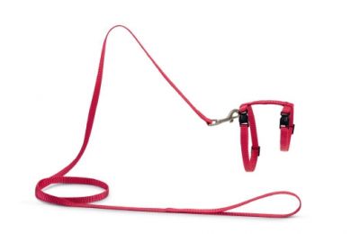 Beeztees kissan valjaat ja talutushihna pinkki