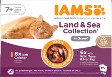 IAMS DELIGHT CAT Senior Land & Sea collection in gravy