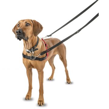 Halti Front Control dog harness L
