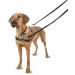 Halti Front Control dog harness L