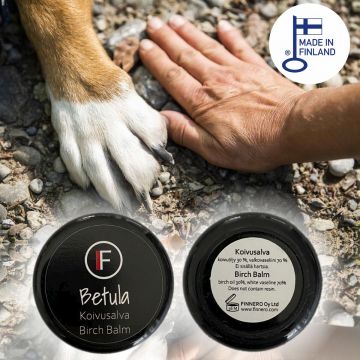 FINNERO BETULA koivusalva 15ml