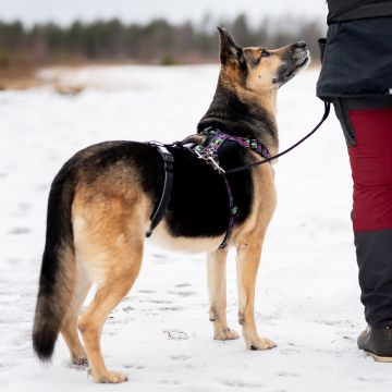 Finnero RESCUE Valjaan stoppari S/M
