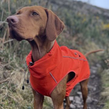 Finnero SPORT Softshell Takki Oranssi 75cm 4XL 