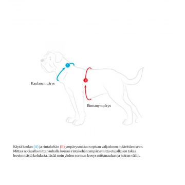 Hunter Koiran valjas Divo XS