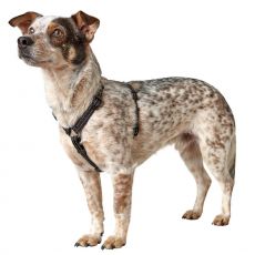 Hunter Tripoli-valjaat S Musta