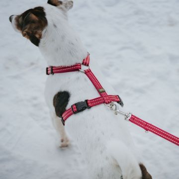 Hunter Tripoli-valjaat S Musta