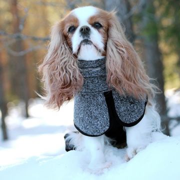 Kivalo Koiran Lämpöpaita Luppo Koko 40cm