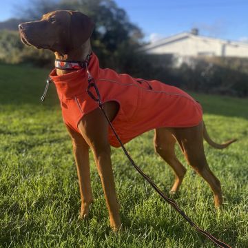 Finnero SPORT Softshell Takki Oranssi 65cm 3XL