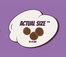 POW! Single Protein PORK Adult L/XL 12kg