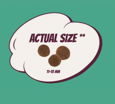 POW! Single Protein LAMB&RICE Adult All Breeds 2kg