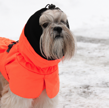 Kivalo koiran takki Ohto 45cm