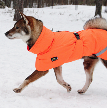 Kivalo koiran takki Ohto 55cm
