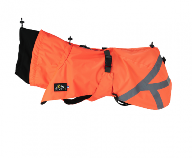 Kivalo koiran takki Ohto 55cm