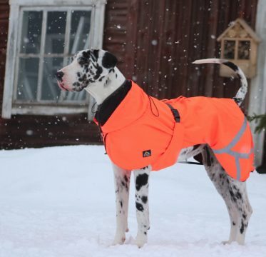 Kivalo koiran takki Ohto 65cm