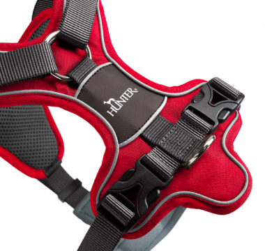 Hunter Koiran valjas Divo S-M