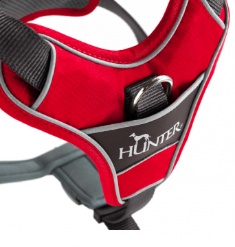 Hunter Koiran valjas Divo S-M