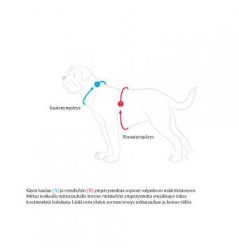 Hunter Koiran valjas Divo L