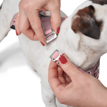 Hunter Koiran valjas Divo Up Roosa L 72-100cm