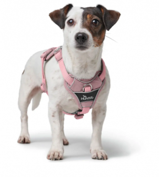 Hunter Koiran valjas Divo Up Roosa S-M 52-68cm