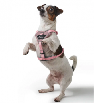 Hunter Koiran valjas Divo Up Roosa S-M 52-68cm
