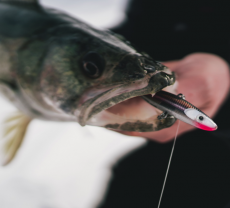 Rapala Jigging Shadow Rap 7cm 10g S