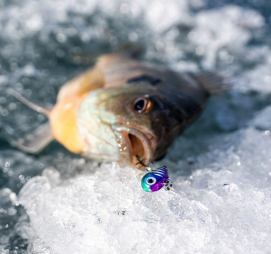 Rapala Nano Rap 2cm 1,6g PTU