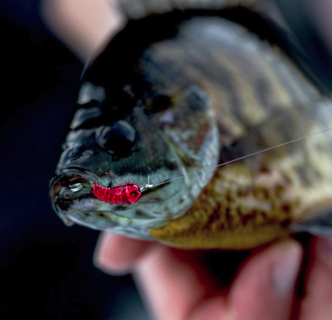 VMC Tungsten Bugbite Jig 1,8g GLCHF