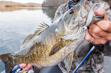 Rapala Crushcity The Mayor 7.5cm 3" Red Craw