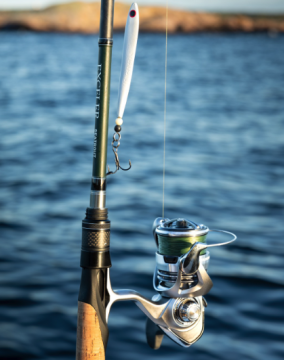 Daiwa 23 Exceler LT 3000D-C Avokela