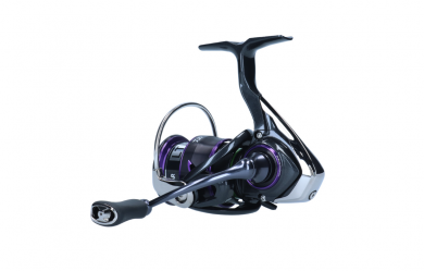 Daiwa Prorex V LT 2000 Avokela