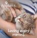 Applaws kissa kitten kuivamuona 400g