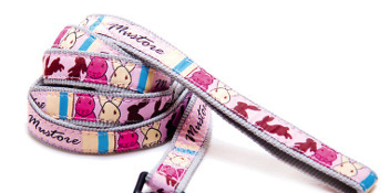 Puolikuristava nailonPANTTA 25mm Serious rabbit