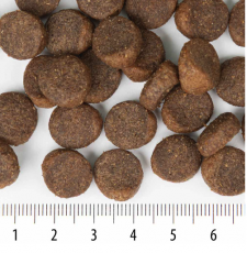 Sensitive Rokka Lammas 12kg