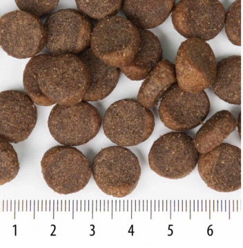 Sensitive Rokka Lammas 12kg