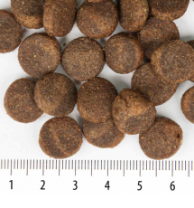 Sensitive Rokka Lohi 12kg