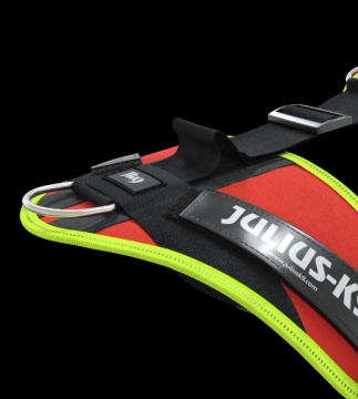 Julius-K9 Mantrailing/Outdoor harness L/XL 