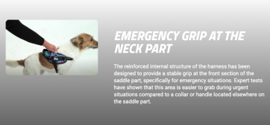 Julius-K9 POWER&MORE Valjas XL 71-96cm 28-40cm Night Camo